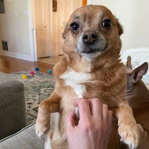 Meet your Posher, Christina